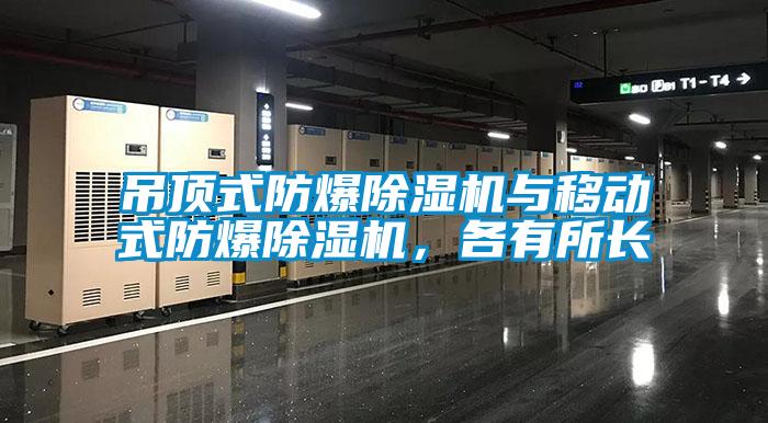 吊顶式防爆91香蕉视频官网机与移动式防爆91香蕉视频官网机，各有所长