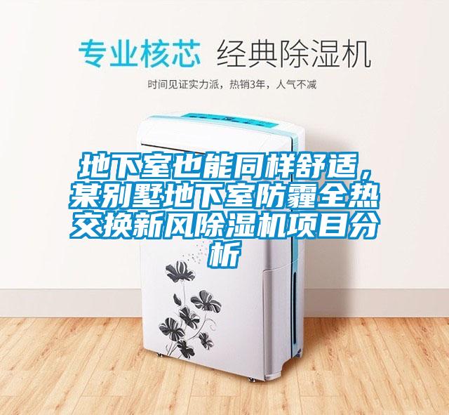 地下室也能同样舒适，某别墅地下室防霾全热交换新风91香蕉视频官网机项目分析