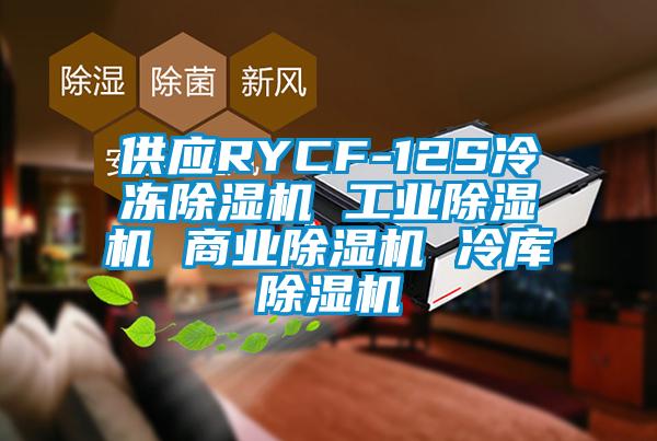 供应RYCF-12S冷冻91香蕉视频官网机 工业91香蕉视频官网机 商业91香蕉视频官网机 冷库91香蕉视频官网机