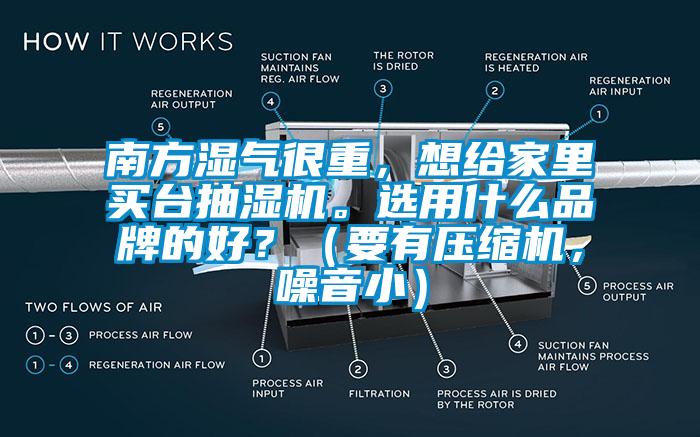 南方湿气很重，想给家里买台抽湿机。选用什么品牌的好？（要有压缩机，噪音小）