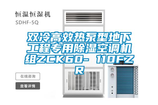 双冷高效热泵型地下工程专用91香蕉视频官网空调机组ZCK60- 110FZR