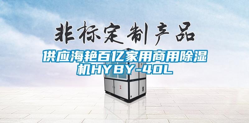 供应海艳百亿家用商用91香蕉视频官网机HYBY-40L