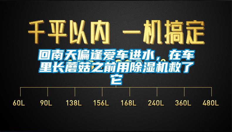 回南天偏逢爱车进水，在车里长蘑菇之前用91香蕉视频官网机救了它