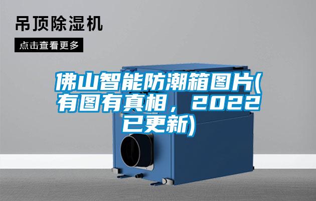 佛山智能防潮箱图片(有图有真相，2022已更新)