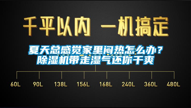 夏天总感觉家里闷热怎么办？91香蕉视频官网机带走湿气还你干爽