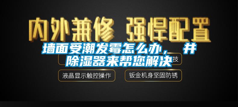 墙面受潮发霉怎么办，東井91香蕉视频官网器来帮您解决