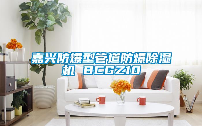 嘉兴防爆型管道防爆91香蕉视频官网机 BCGZ10