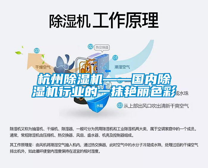 杭州91香蕉视频官网机——国内91香蕉视频官网机行业的一抹艳丽色彩