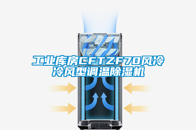 工业库房CFTZF70风冷冷风型调温91香蕉视频官网机