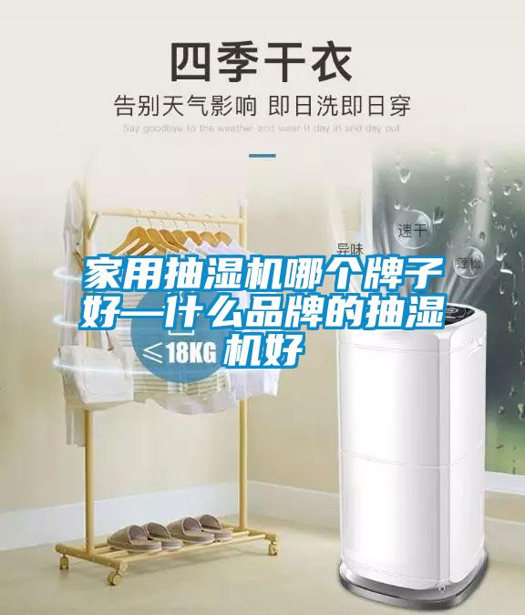 家用抽湿机哪个牌子好—什么品牌的抽湿机好