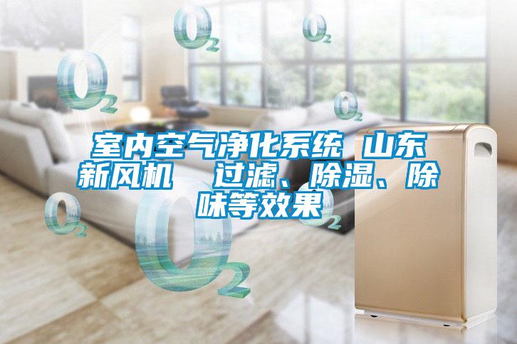 室内空气净化系统 山东新风机  过滤、91香蕉视频官网、除味等效果