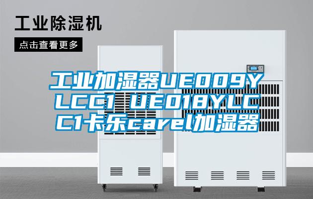 工业加湿器UE009YLCC1 UE018YLCC1卡乐carel加湿器