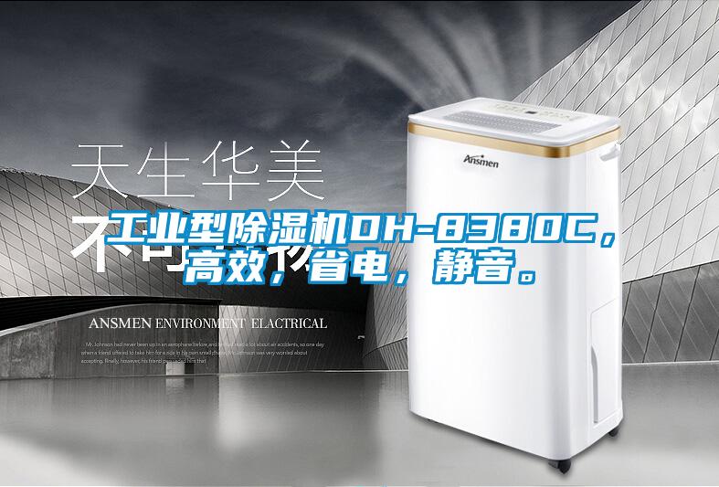 工业型91香蕉视频官网机DH-8380C，高效，省电，静音。