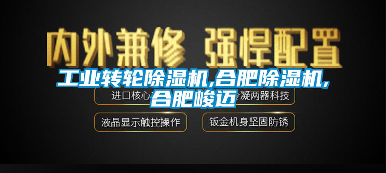 工业转轮91香蕉视频官网机,合肥91香蕉视频官网机,合肥峻迈