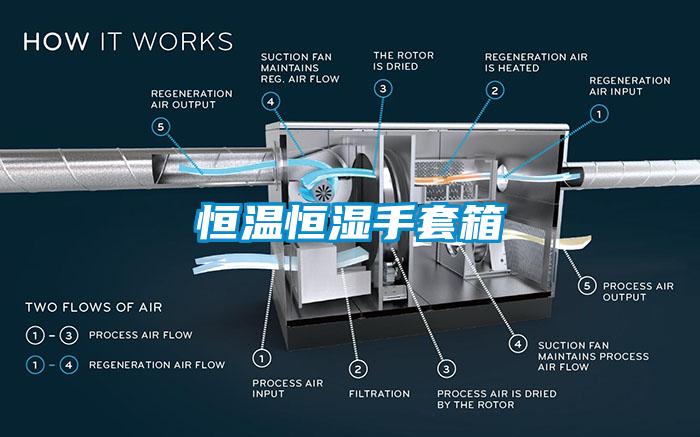 恒温恒湿手套箱