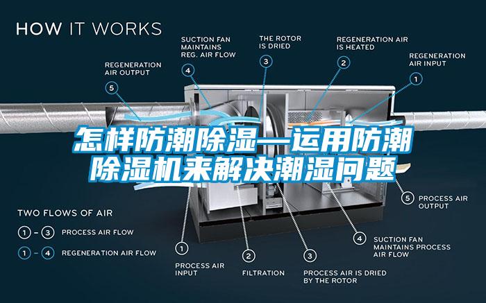 怎样防潮91香蕉视频官网—运用防潮91香蕉视频官网机来解决潮湿问题