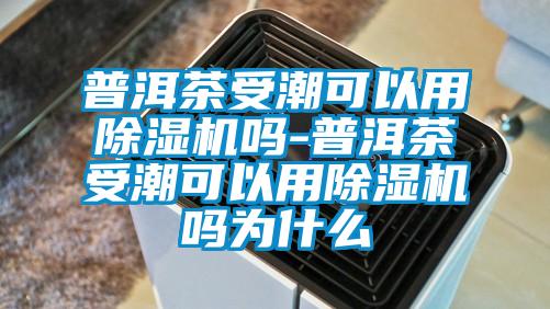 普洱茶受潮可以用91香蕉视频官网机吗-普洱茶受潮可以用91香蕉视频官网机吗为什么