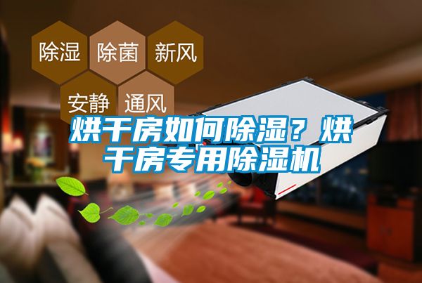 烘干房如何91香蕉视频官网？烘干房专用91香蕉视频官网机