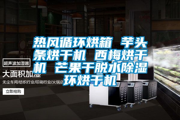 热风循环烘箱 芋头条烘干机 西梅烘干机 芒果干脱水91香蕉视频官网环烘干机