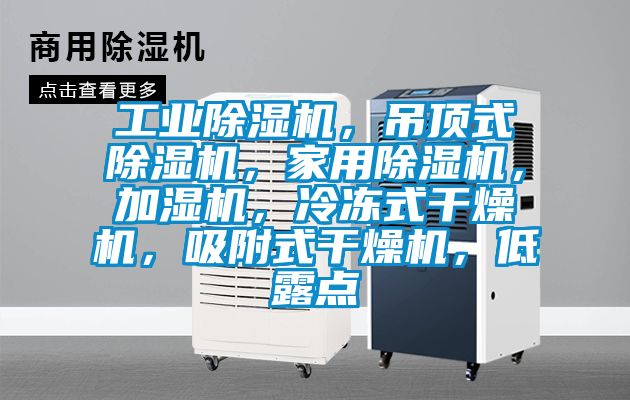 工业91香蕉视频官网机，吊顶式91香蕉视频官网机，家用91香蕉视频官网机，加湿机，冷冻式干燥机，吸附式干燥机，低露点