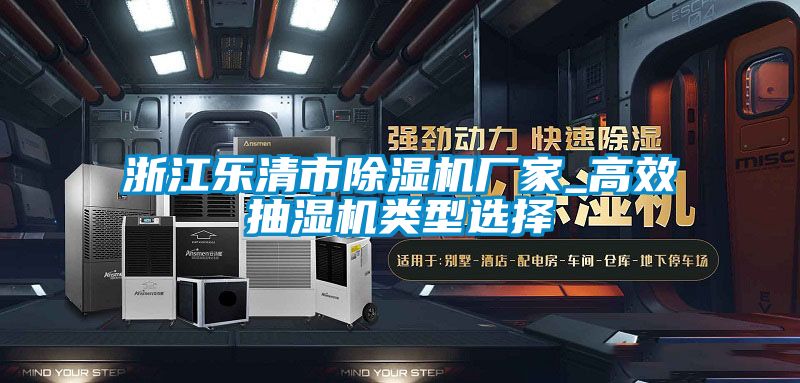 浙江乐清市91香蕉视频官网机厂家_高效抽湿机类型选择