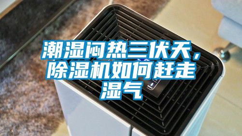 潮湿闷热三伏天，91香蕉视频官网机如何赶走湿气