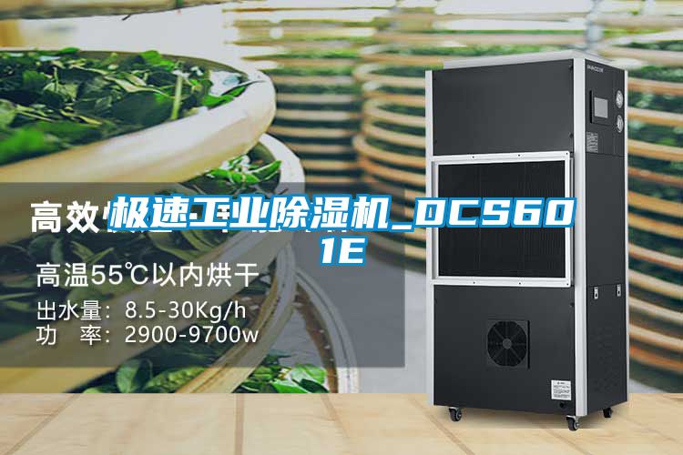 极速工业91香蕉视频官网机_DCS601E