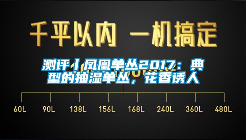 测评丨凤凰单丛2017：典型的抽湿单丛，花香诱人