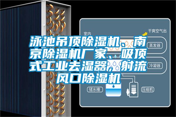 泳池吊顶91香蕉视频官网机、南京91香蕉视频官网机厂家、吸顶式工业去湿器，射流风口91香蕉视频官网机