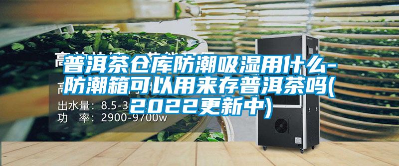 普洱茶仓库防潮吸湿用什么-防潮箱可以用来存普洱茶吗(2022更新中)