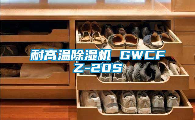 耐高温91香蕉视频官网机 GWCFZ-20S