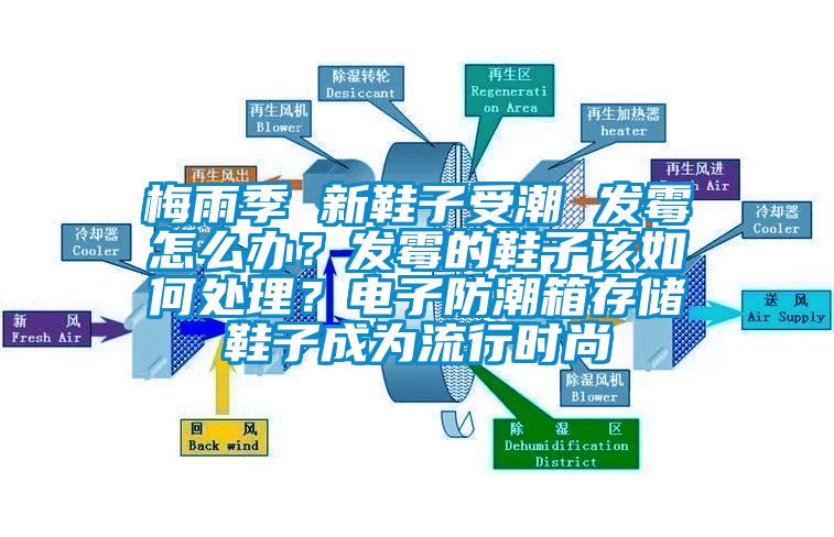 梅雨季 新鞋子受潮 发霉怎么办？发霉的鞋子该如何处理？电子防潮箱存储鞋子成为流行时尚