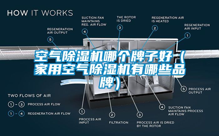 空气91香蕉视频官网机哪个牌子好（家用空气91香蕉视频官网机有哪些品牌）