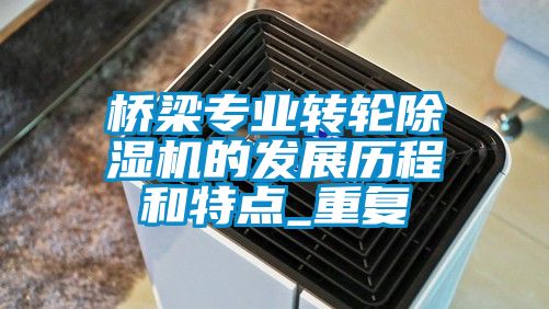 桥梁专业转轮91香蕉视频官网机的发展历程和特点_重复