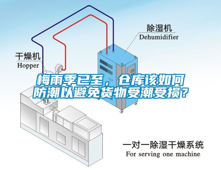 梅雨季已至，仓库该如何防潮以避免货物受潮受损？