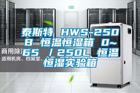 泰斯特 HWS-250B 恒温恒湿箱 0~65℃／250L 恒温恒湿实验箱