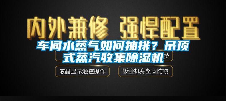 车间水蒸气如何抽排？吊顶式蒸汽收集91香蕉视频官网机