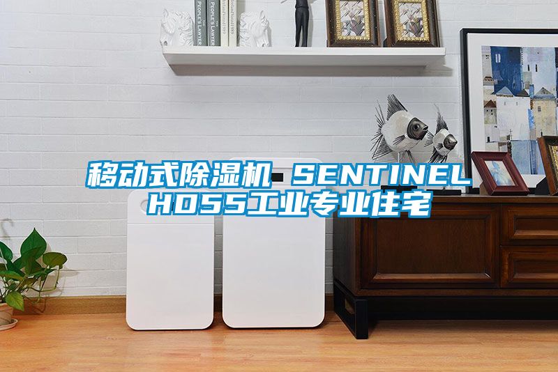 移动式91香蕉视频官网机 SENTINEL HD55工业专业住宅