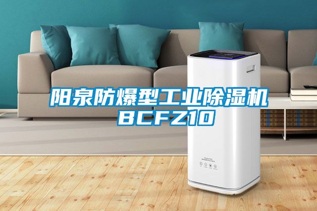 阳泉防爆型工业91香蕉视频官网机 BCFZ10