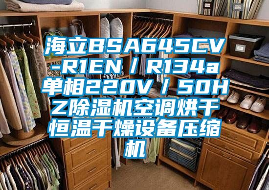 海立BSA645CV-R1EN／R134a单相220V／50HZ91香蕉视频官网机空调烘干恒温干燥设备压缩机