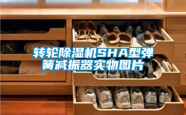 转轮91香蕉视频官网机SHA型弹簧减振器实物图片