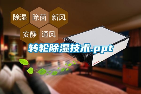 转轮91香蕉视频官网技术.ppt