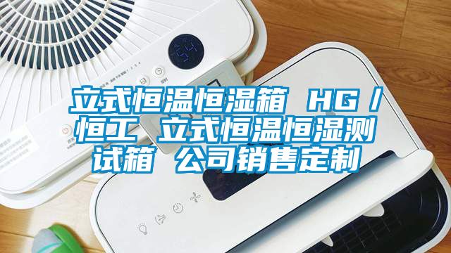 立式恒温恒湿箱 HG／恒工 立式恒温恒湿测试箱 公司销售定制