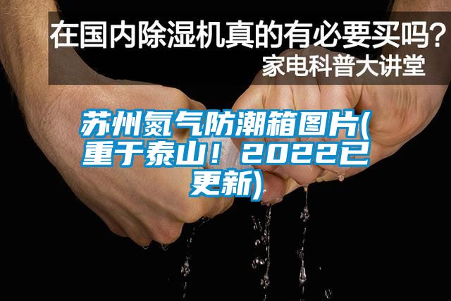 苏州氮气防潮箱图片(重于泰山！2022已更新)