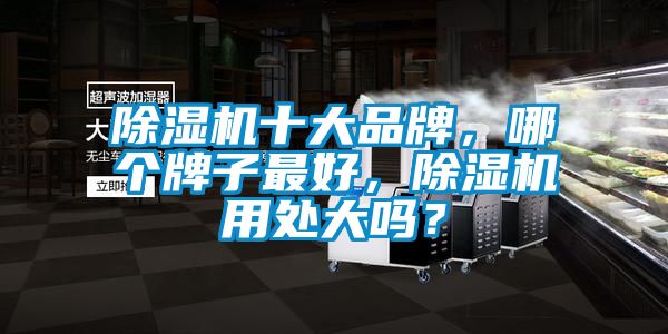 91香蕉视频官网机十大品牌，哪个牌子最好，91香蕉视频官网机用处大吗？