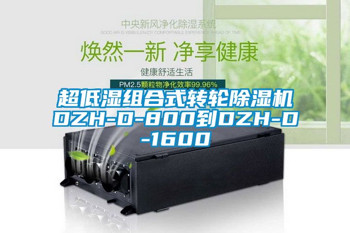 超低湿组合式转轮91香蕉视频官网机DZH-D-800到DZH-D-1600