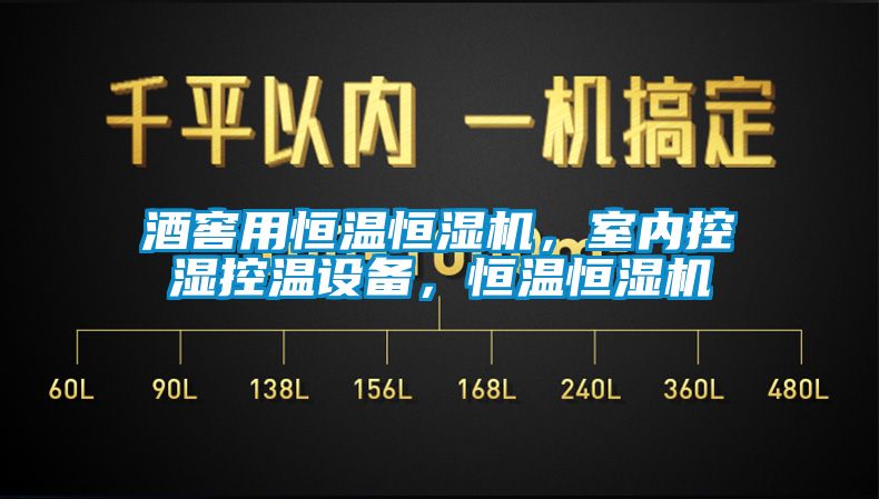 酒窖用恒温恒湿机，室内控湿控温设备，恒温恒湿机