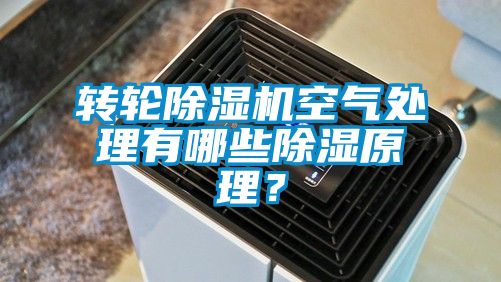 转轮91香蕉视频官网机空气处理有哪些91香蕉视频官网原理？