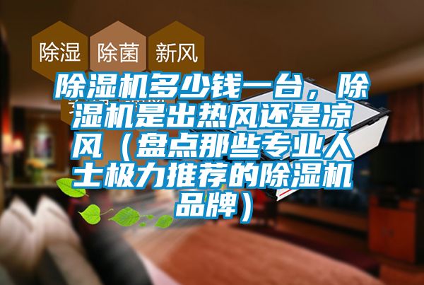 91香蕉视频官网机多少钱一台，91香蕉视频官网机是出热风还是凉风（盘点那些专业人士极力推荐的91香蕉视频官网机品牌）