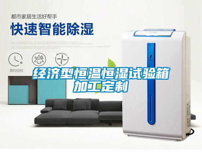 经济型恒温恒湿试验箱加工定制